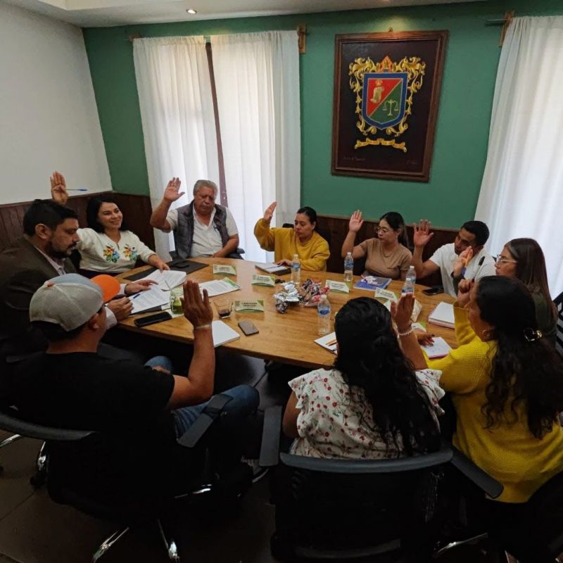 Reforma del artículo 143 constitucional